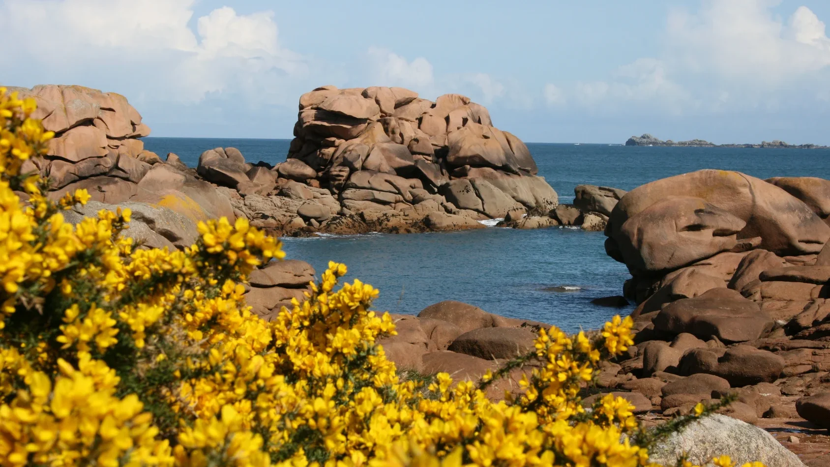Rochers roses de Ploumanac'h et ajoncs en fleurs au printemps - Côte de Granit Rose